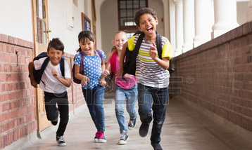 网站攻击软件工具